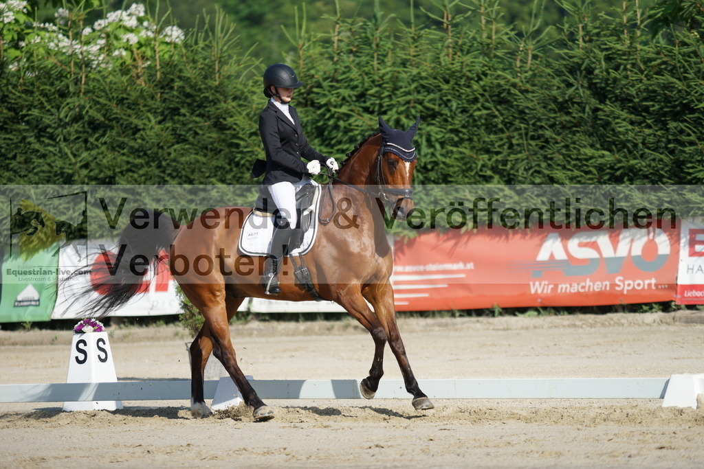 DSC04407 | equestrian-live-com