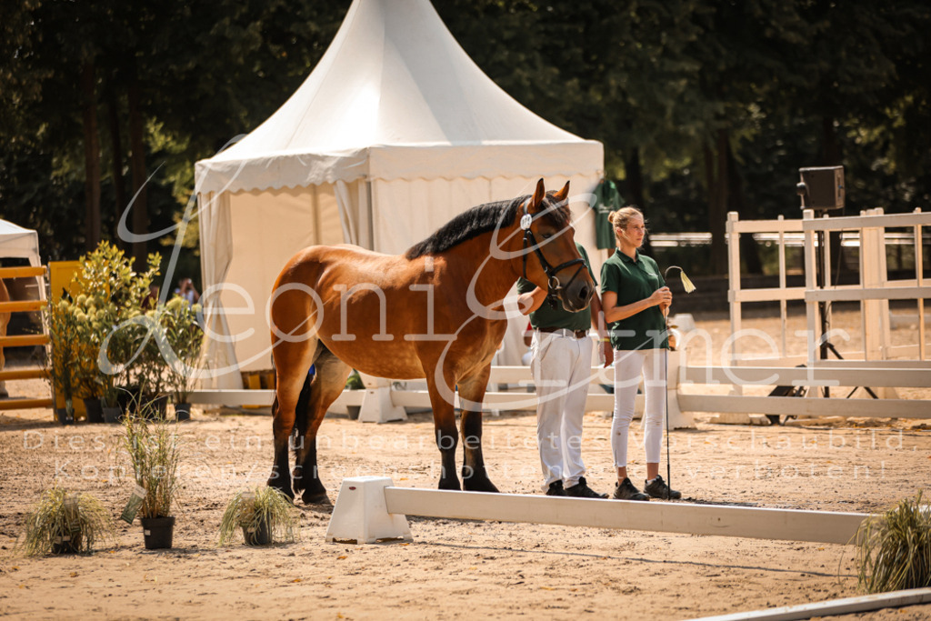 1.Sa00053 | Leoni Ertmer Photography - Realisiert mit Pictrs.com