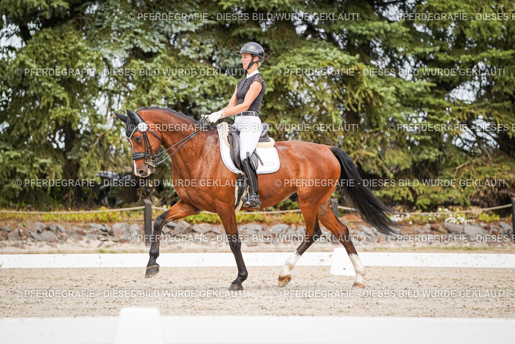 DSC06004 | Pferdegrafie