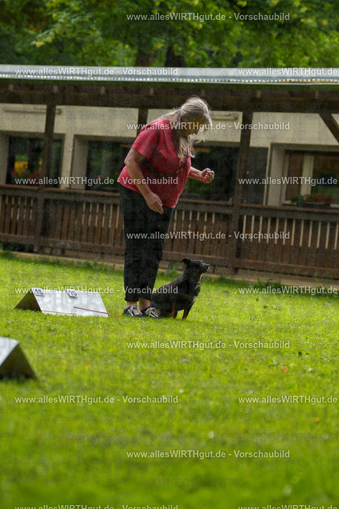 @allesWIRTHgut_Tierfotografie - www.allesWIRTHgut.de - 090322-7R506463 | Professionelle Tierfotografie in Mönchengladbach von Daniel Wirth (allesWIRTHgut). Liebevolle & natürliche Bilder von Hunden & Katzen für unvergessliche Erinnerungen.