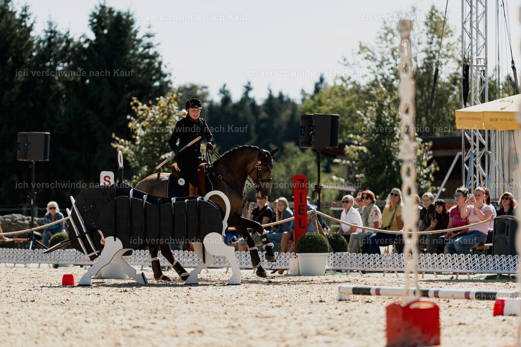 Katja7_FHC2025-08977 | working equitationturnier fotograf videograf stoibphotography marixx film working equitation deutschland reitsport turnierfotografie eventfotografie equestrian events