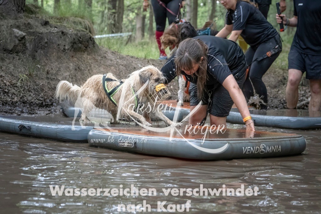 1210_ZZ97547T | kk-dogfotos