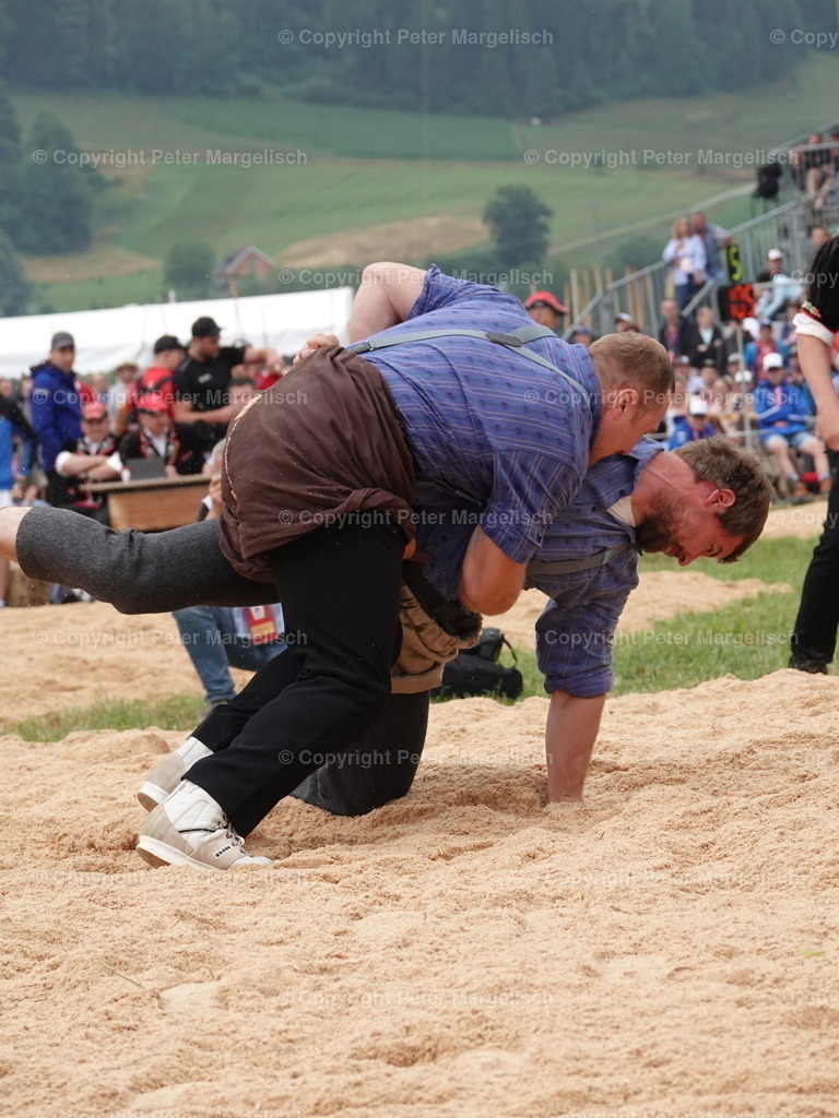 DSC04901 | Schwingen - Realisiert mit Pictrs.com