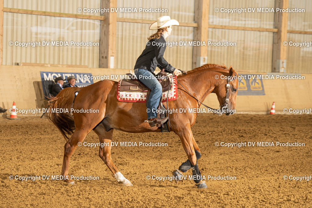 LAU00353 | dv-media-shop - Realisiert mit Pictrs.com