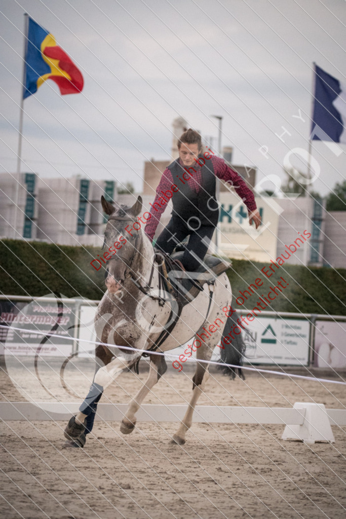 DSC_0092 | Sport-, Event- und Tierfotos in Profiqualität. Einfach auswählen, bestellen und herunterladen. Dein Moment – perfekt festgehalten.