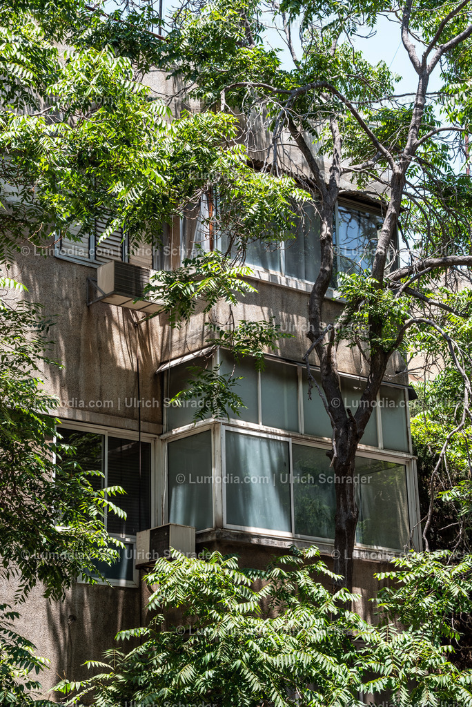 10972-10137 - Tel Aviv - Rothschild Boulevard | Stockfoto und Bilderpool mit Bildmaterial aus Deutschland, dem Harz, Halberstadt, Quedlinburg, Wernigerode und weltweit. Qualitativ hochwertige und professionelle Fotos anschauen und kaufen. - Realisiert mit Pictrs.com