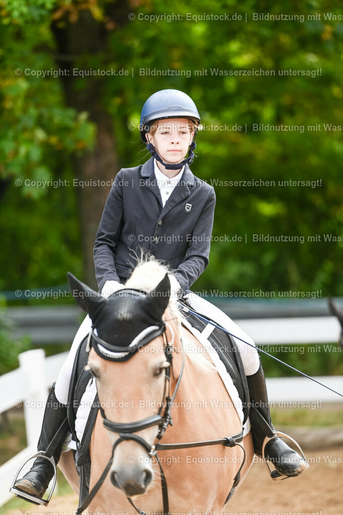 20230716_10-2_Reiter-WB Schritt - Trab - Galopp_0014 | equistock