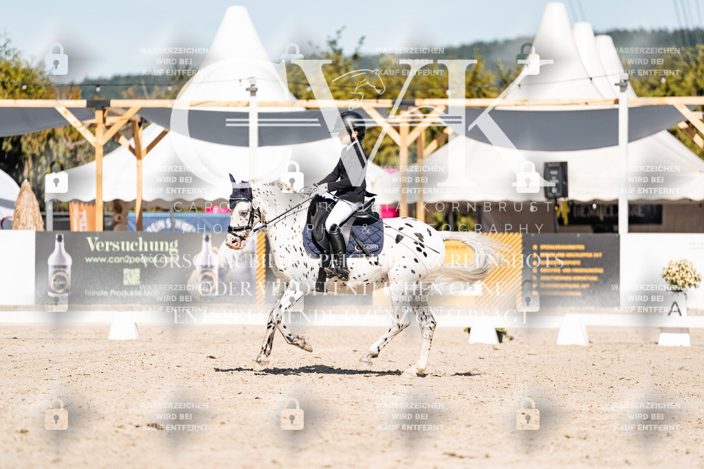 CK908565 | Turnierfotografie Pferdefotografie Trier Rheinland-Pfalz Pferdesport Reitsport Tierfotografie Sportfotografie Pferdevideo Pferdevideografie Equestrianvideography equestrianphotography  - Realisiert mit Pictrs.com