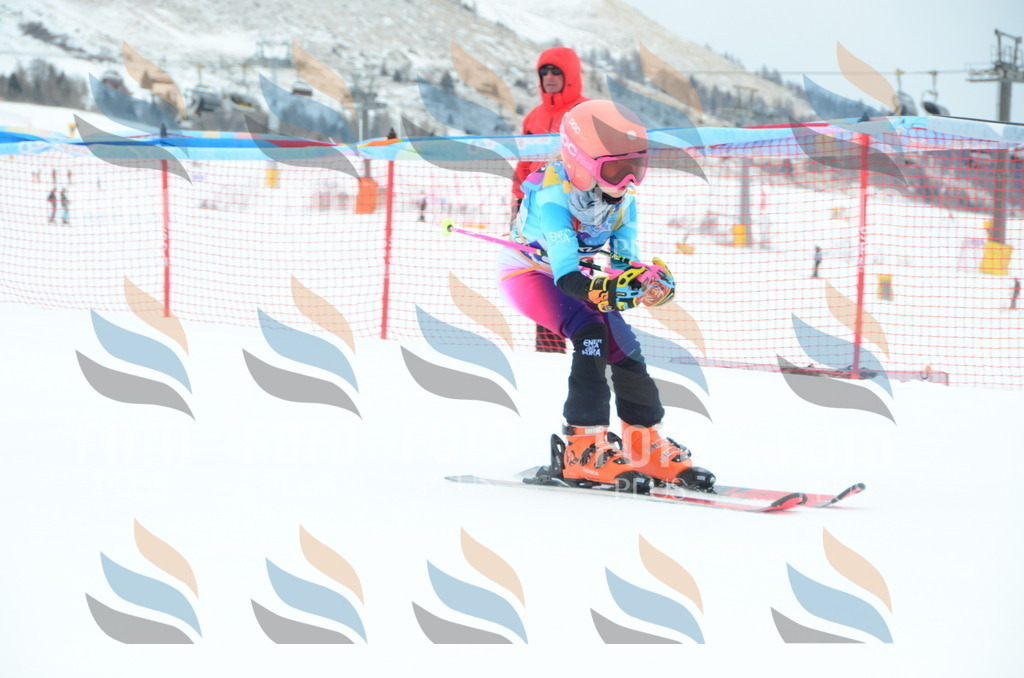 DSC_0997 | holidayphoto