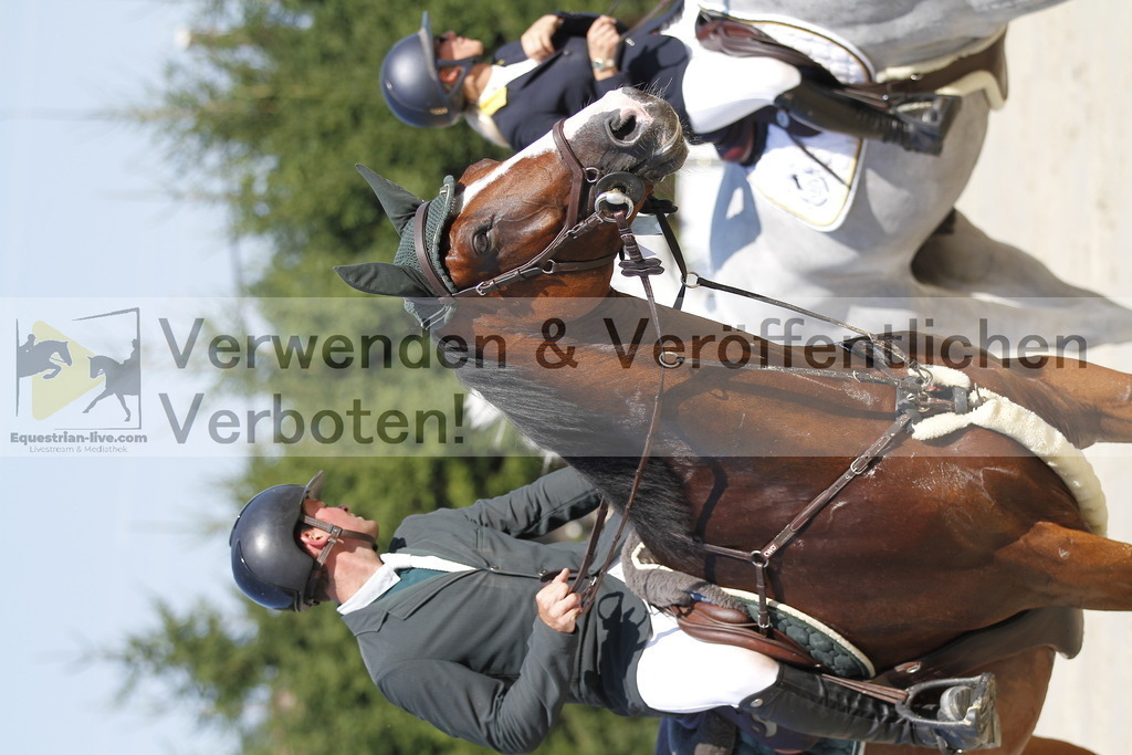_MG_5394 | equestrian-live-com