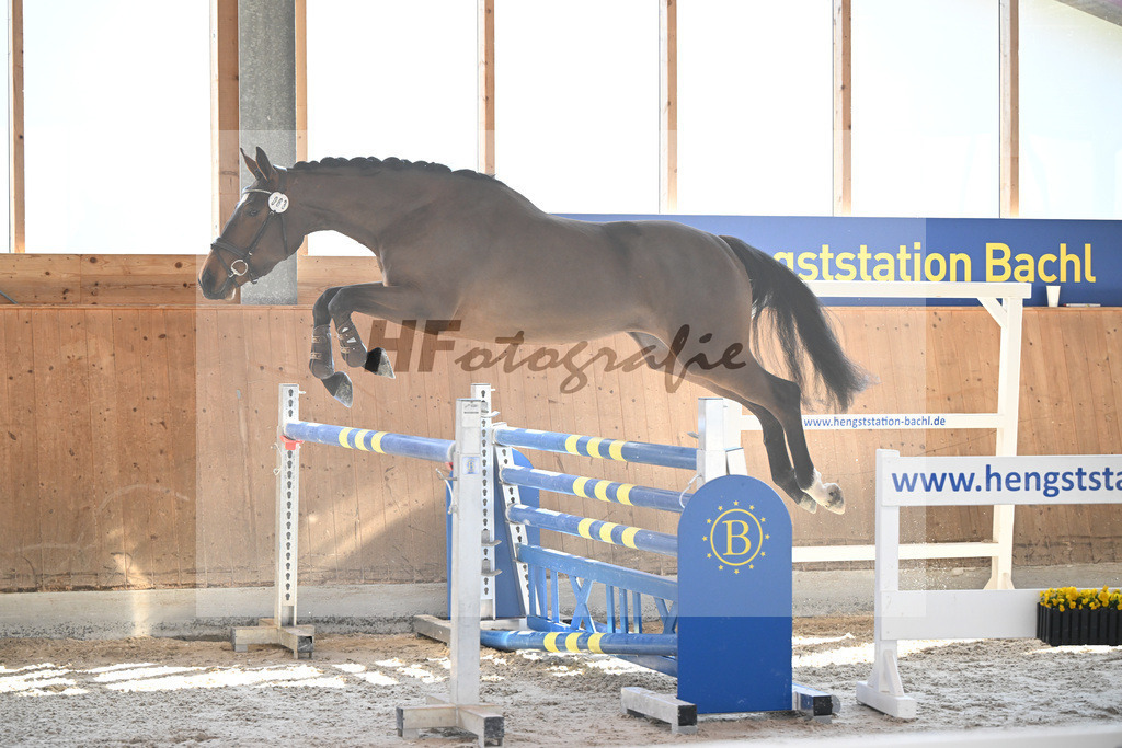 Kat-Nr. 63 Kelly du Tillard v. Aganix Du Seigneur_Keitel_14261714 | hf-fotografie - Realizzato con Pictrs.com