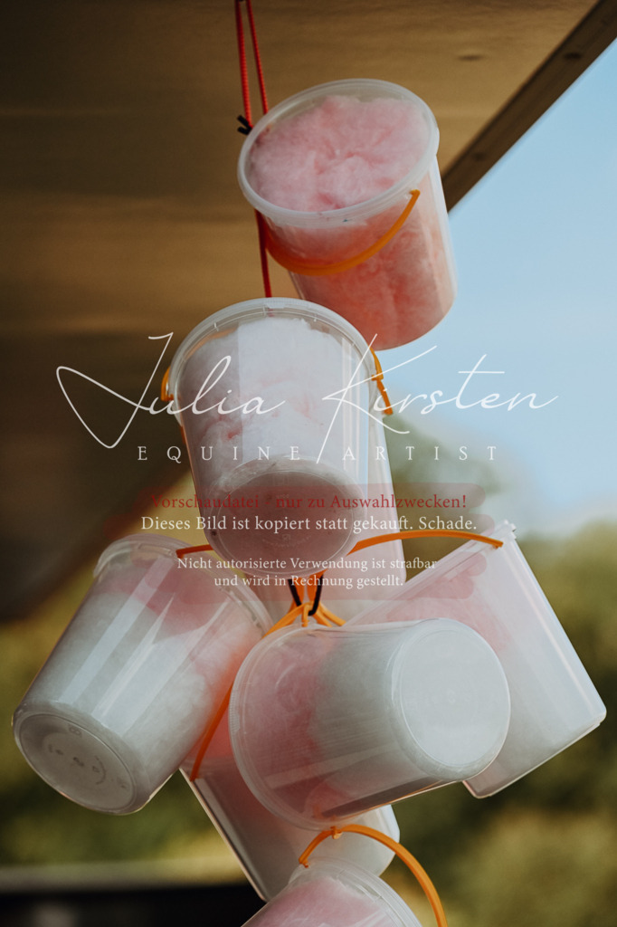 DSC_8839 | Pferde- und Turnierfotografie in Westsachsen. Pferdeportraits, Auftragszeichnungen und intuitive Kunst.