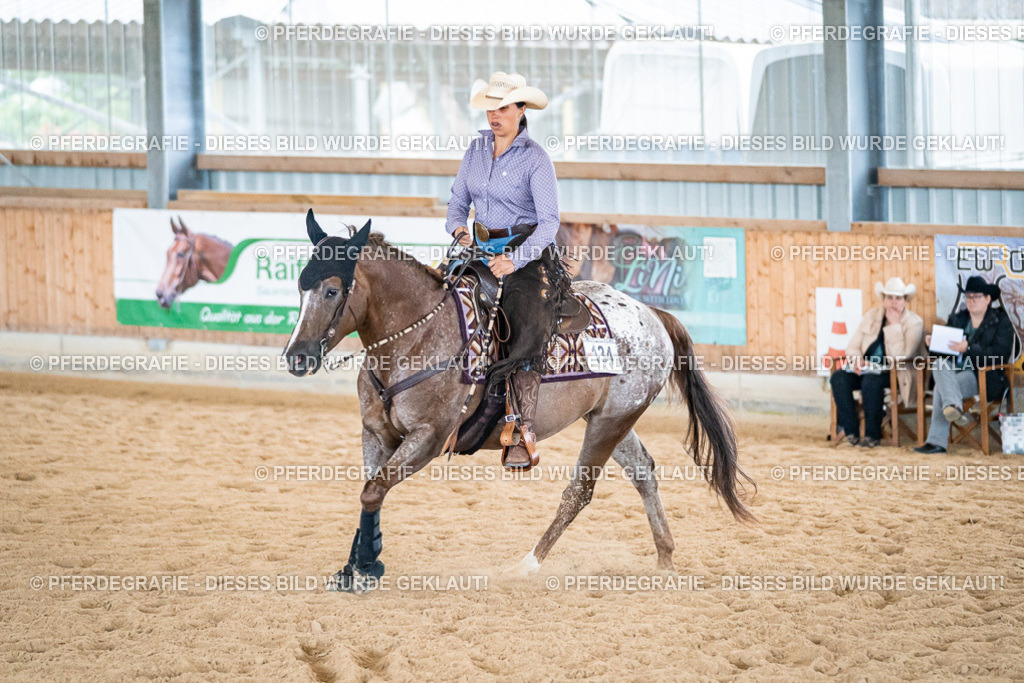 DSC03292 | Pferdegrafie