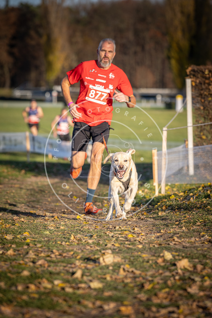 CaniXpix_DV3A4269 | Hundefotografie, Tierfotograf, Pfotenfotografie, Fotoshooting Hund, Hunde Portrait, Hundesport, Hundeportraits, Heideshooting, Hunde, Sportfotograf, Hundefotograf, Turnierhundsport, THS,  - Realisiert mit Pictrs.com