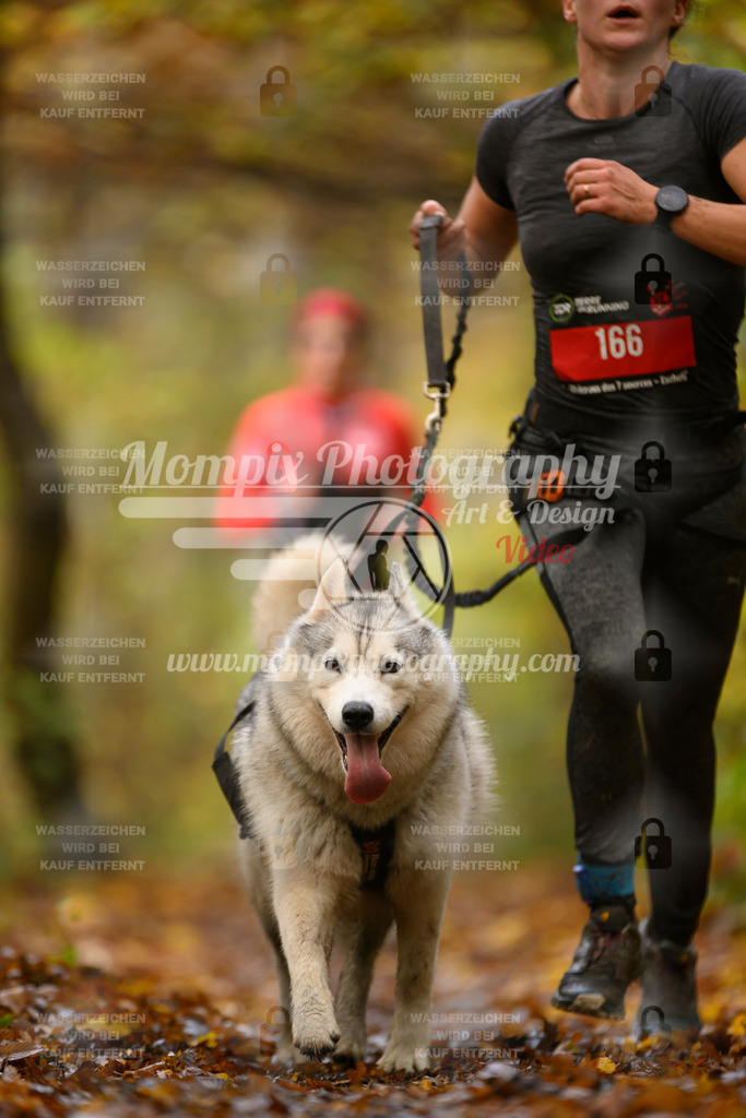 MompixPhotography_CD7S_DI_CCL-168 | mompixphotography