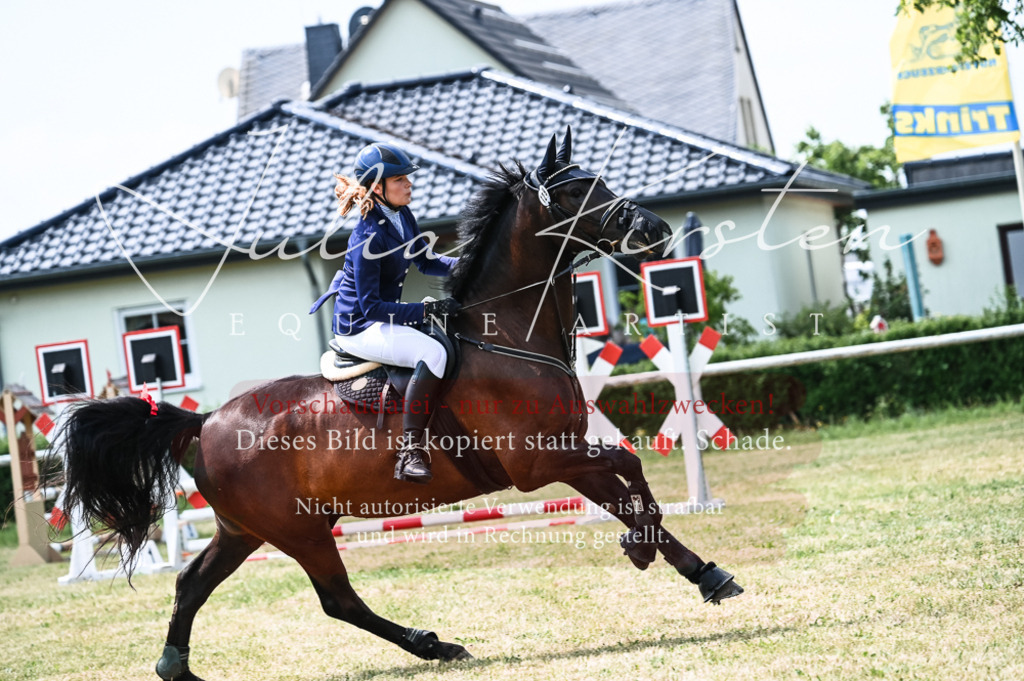 DSC_9221 | Pferde- und Turnierfotografie in Westsachsen. Pferdeportraits, Auftragszeichnungen und intuitive Kunst.