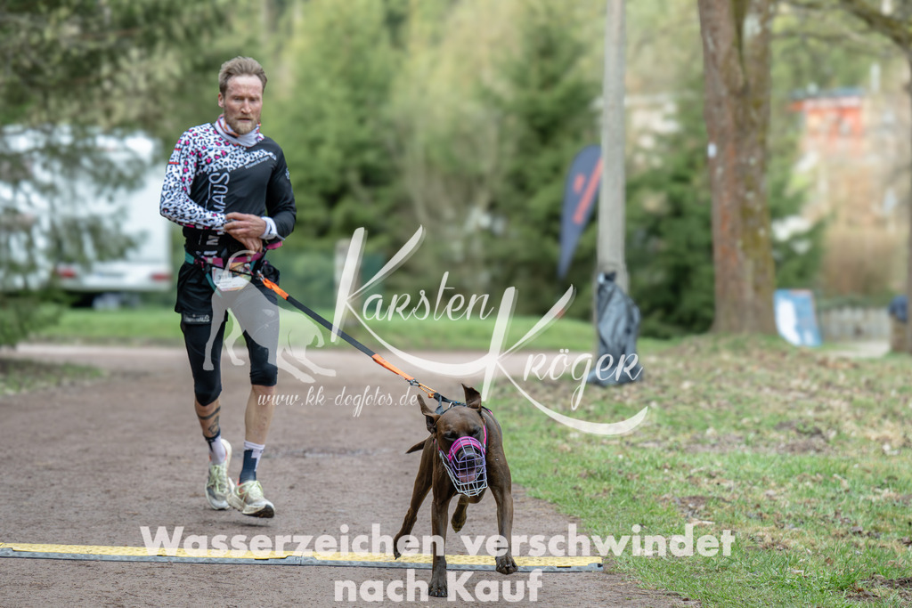 0840_ZZ99840 | kk-dogfotos