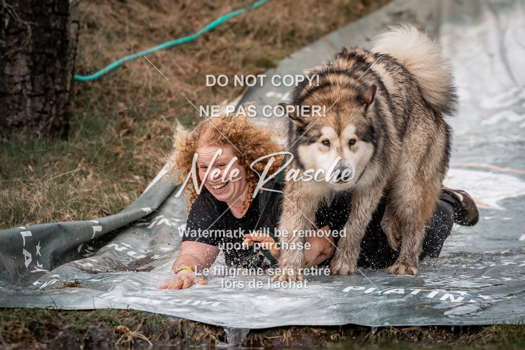 nelerasche_1330-1400_78 | nelerasche