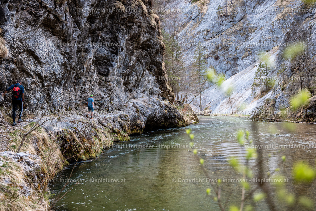 Klausgraben Salzatal Mariazellerland 01052021-3492 | Fotos und Fotoprodukte - Realisiert mit Pictrs.com