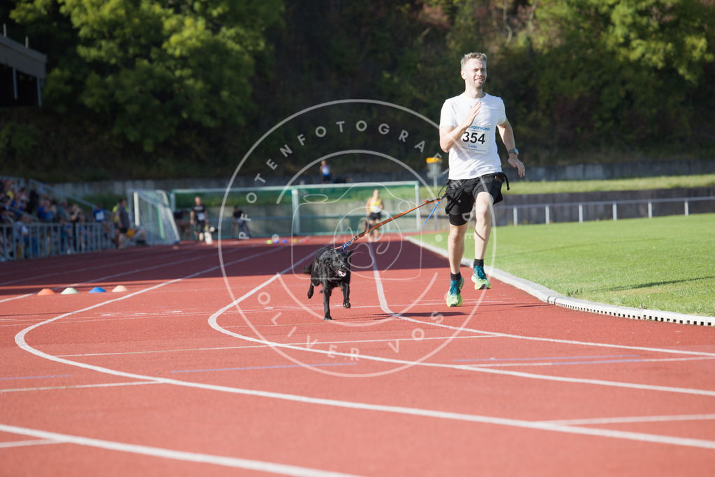 0L8A9960 | Hundefotografie, Tierfotograf, Pfotenfotografie, Fotoshooting Hund, Hunde Portrait, Hundesport, Hundeportraits, Heideshooting, Hunde, Sportfotograf, Hundefotograf, Turnierhundsport, THS,  - Realisiert mit Pictrs.com