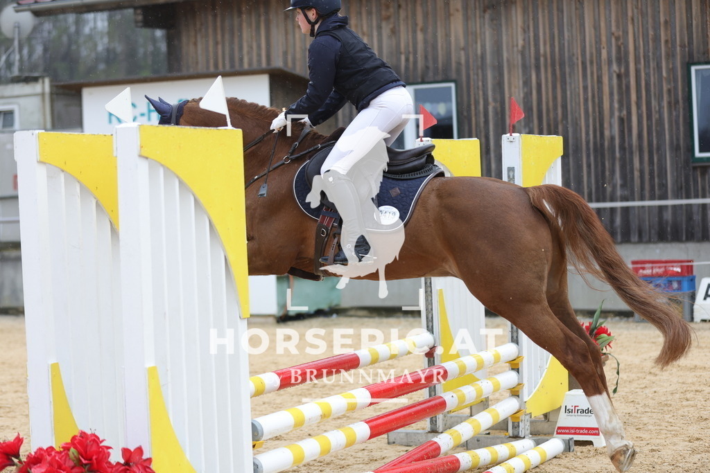 0P6A7237 | Willkommen bei Brunnmayr - Design & Fotografie – Ihrem Spezialisten für Reitturniere und Pferdeveranstaltungen in Oberösterreich, Salzburg und Bayern! Seit über 17 Jahren sind wir leidenschaftlich dabei.