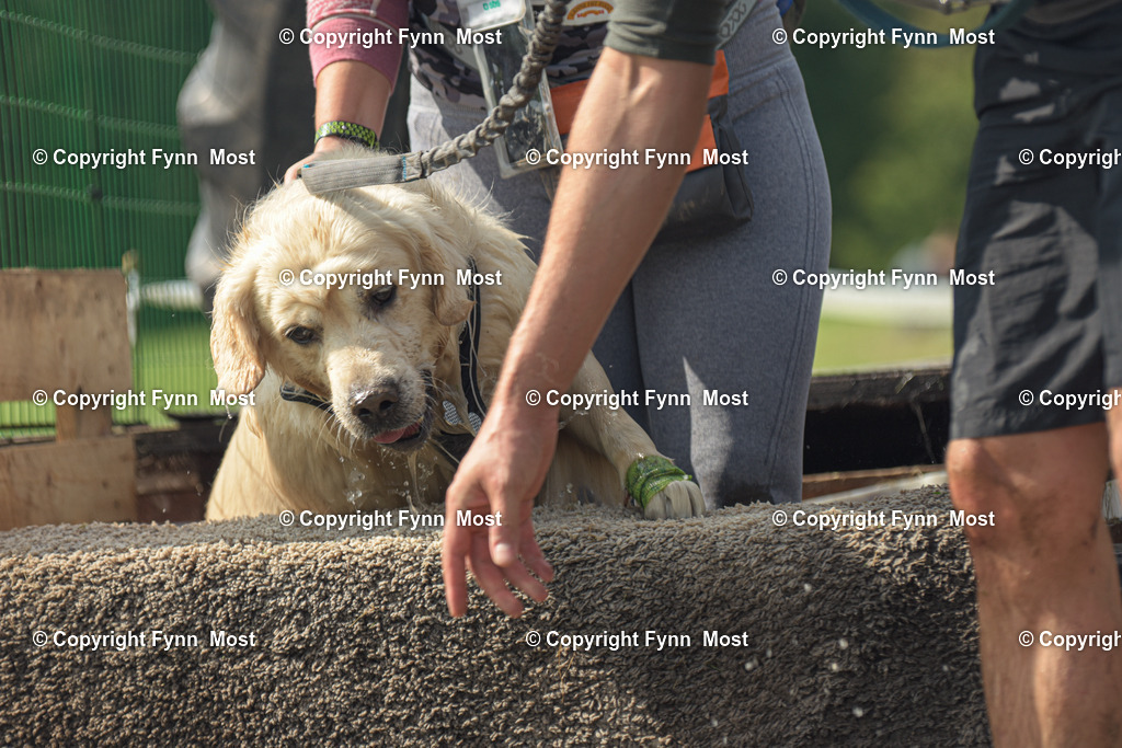DSC_0880-2 | Hallo und herzlich Willkommen auf meiner Shop-Seite Fynn Most.

Ich wünsche Dir viel Spaß beim stöbern durch die Bilder, wenn Du Fragen hast oder Bilder vermisst, kannst du mir gerne eine Nachricht schreiben. - Realisiert mit Pictrs.com