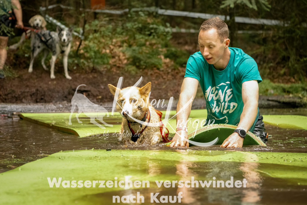 1201_ZZ92418-Bearbeitet | kk-dogfotos