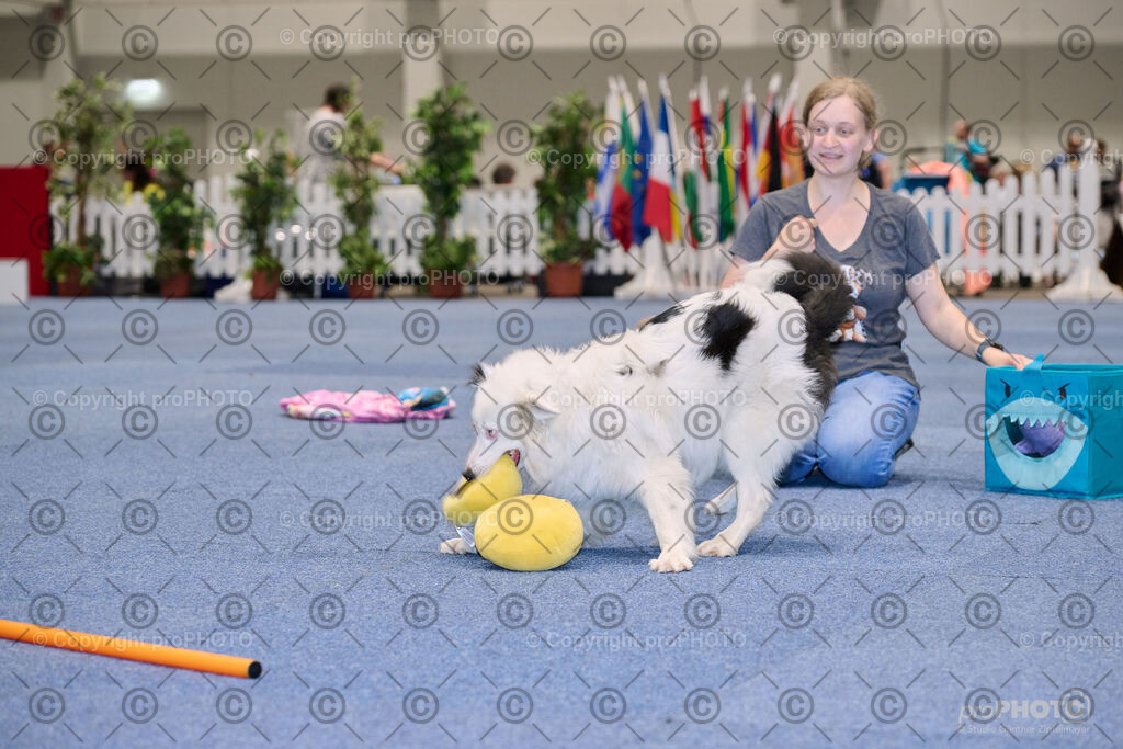 202406_ÖKV-IHA-Tulln24_NZ9_7692 | proPHOTO - Realisiert mit Pictrs.com