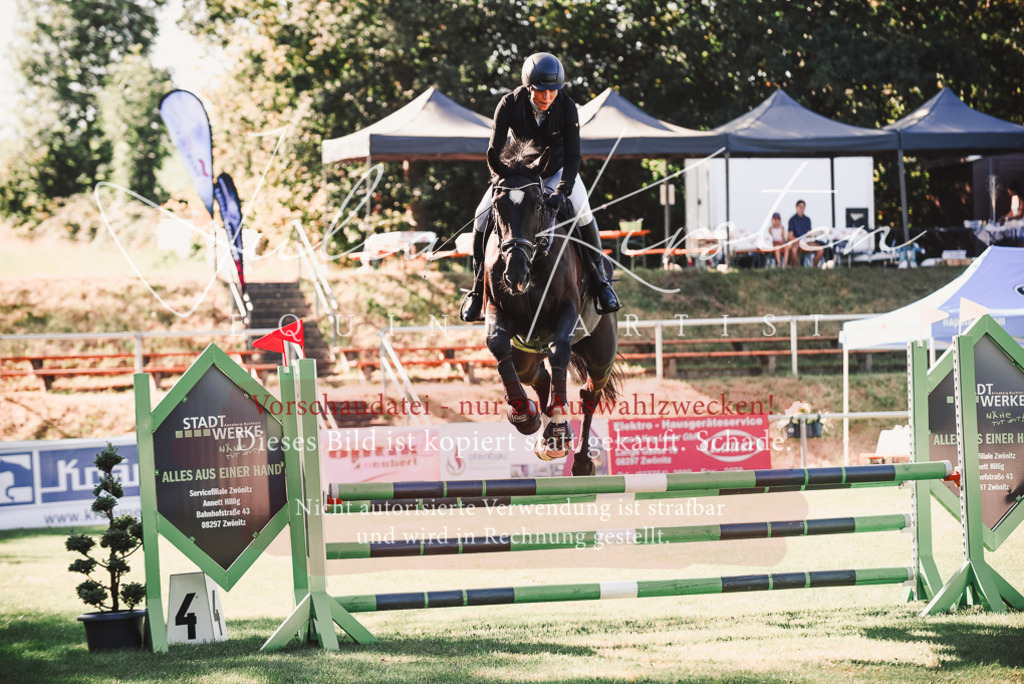 DSC_2259 | Pferde- und Turnierfotografie in Westsachsen. Pferdeportraits, Auftragszeichnungen und intuitive Kunst.