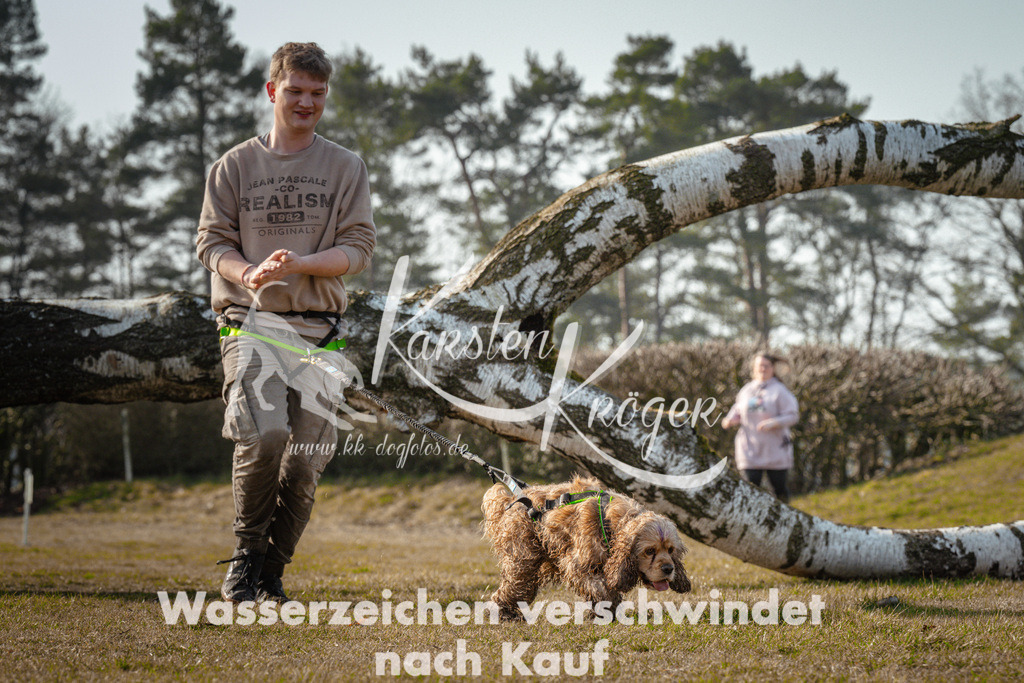 0953_ZZ90437 | kk-dogfotos