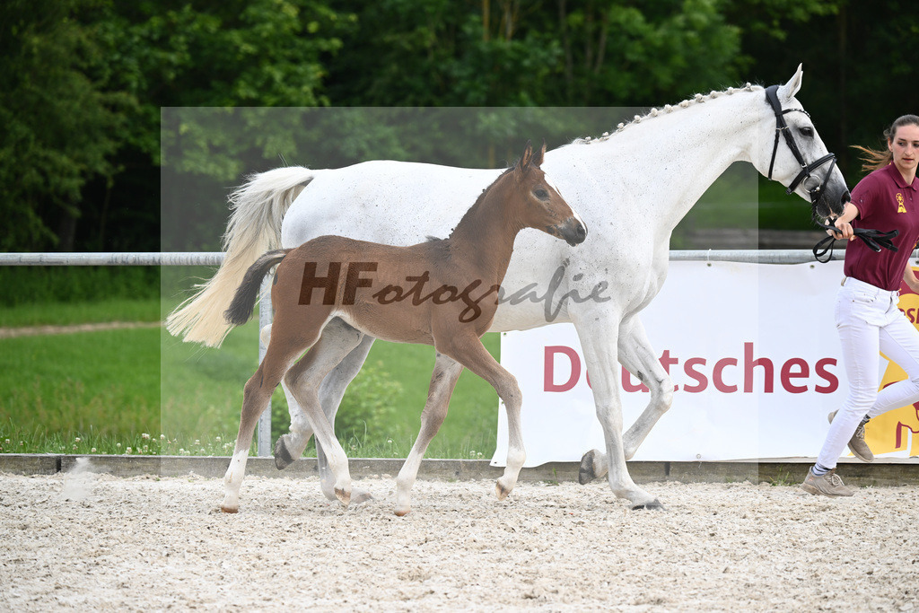 Diacord x Ciacomini_SF_Trukenbrod_20241150 | hf-fotografie - Realizzato con Pictrs.com