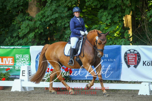 DKP42879 | Turniersportfotografie; Pferdefotografie; Dressurfotografie