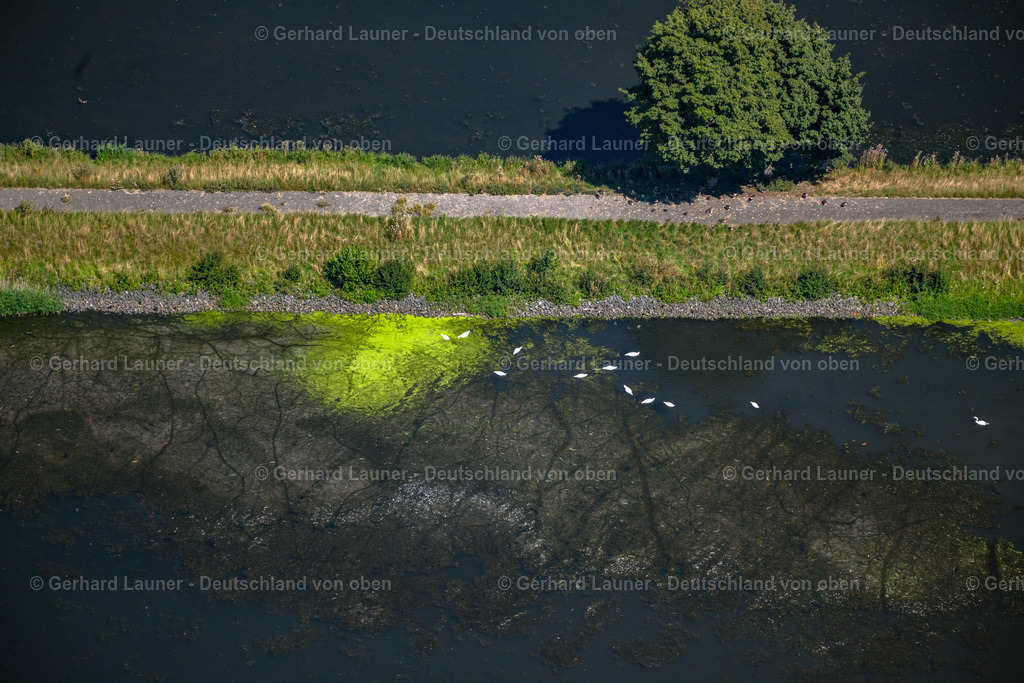4036101 | GROß GLEIDINGEN 31.07.2020 Klärteiche der SZ-AG im Steterburgergraben in Groß Gleidingen im Bundesland Niedersachsen, Deutschland. Weiterführende Informationen bei: Salzgitter Aktiengesellschaft. // Sewage ponds of the SZ-AG in the Steterburgergraben in Gross Gleidingen in the state Lower Saxony, Germany. Further information at: Salzgitter Aktiengesellschaft. Foto: Gerhard Launer