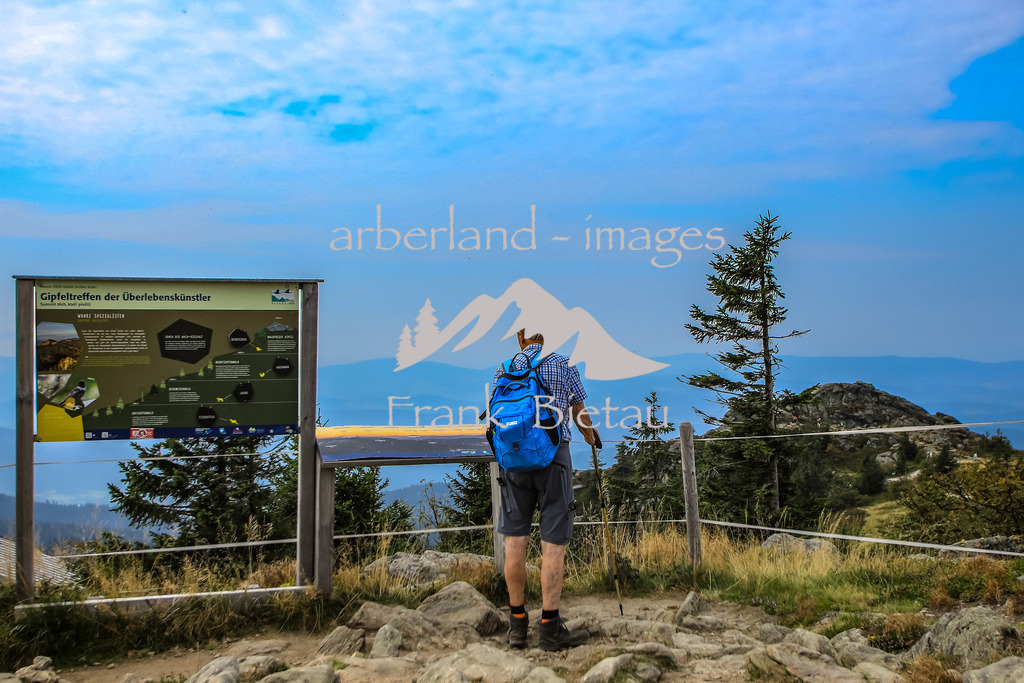 OE7A3802 | der Arber als Ziel vieler Urlauber und Wanderer, am Gipfelplateau
