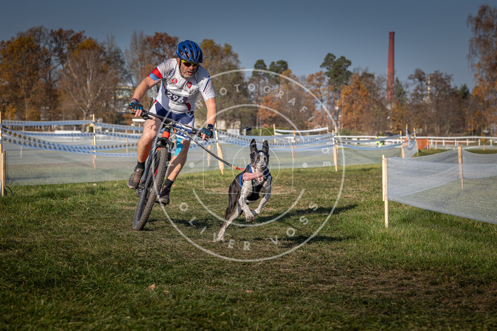 CaniXpix_0L8A7508 | Hundefotografie, Tierfotograf, Pfotenfotografie, Fotoshooting Hund, Hunde Portrait, Hundesport, Hundeportraits, Heideshooting, Hunde, Sportfotograf, Hundefotograf, Turnierhundsport, THS,  - Realisiert mit Pictrs.com