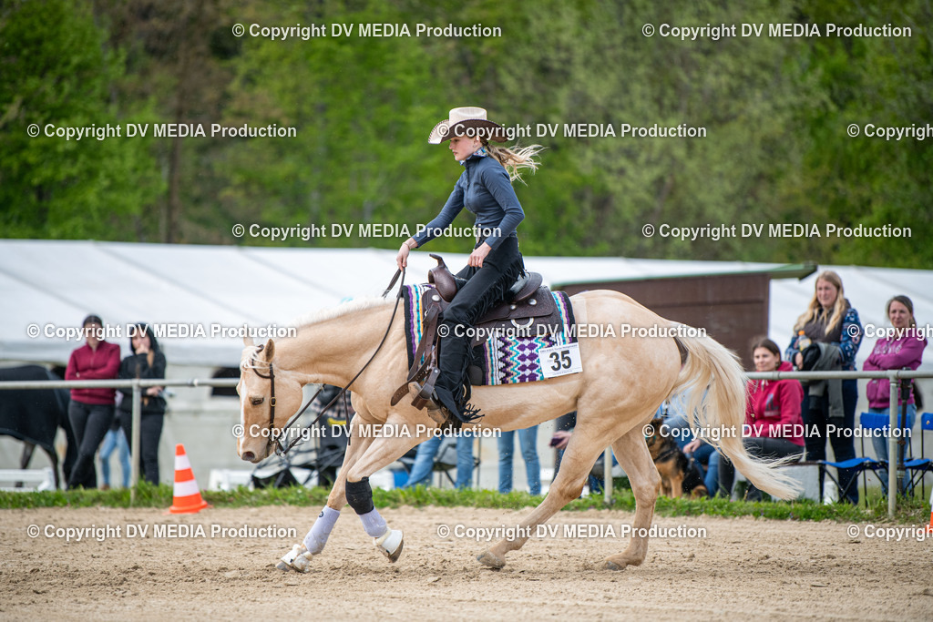 Heiligenwald Tag 2-2183 | dv-media-shop - Realisiert mit Pictrs.com