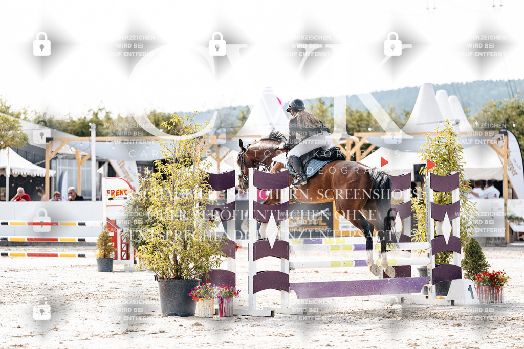 CK905635 | Turnierfotografie Pferdefotografie Trier Rheinland-Pfalz Pferdesport Reitsport Tierfotografie Sportfotografie Pferdevideo Pferdevideografie Equestrianvideography equestrianphotography  - Realisiert mit Pictrs.com