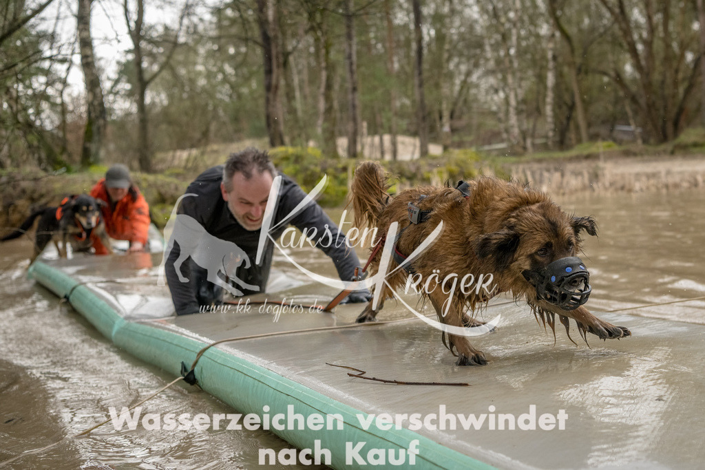 1338_ZZ90263-Bearbeitet | kk-dogfotos