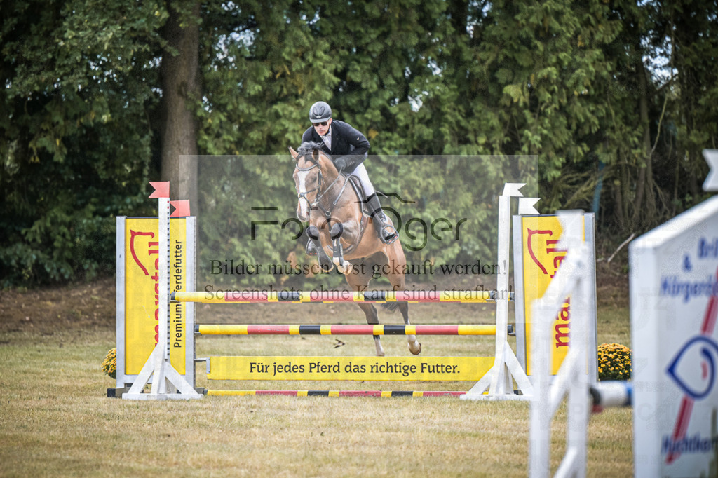 DOS_0317 | Entdecke hochwertige Reitturnierfotos von Foto Oger. Professionell, emotional und authentisch – jetzt Lieblingsmomente im Shop bestellen.Deutschlandweite Turnierfotografie. - Realisiert mit Pictrs.com