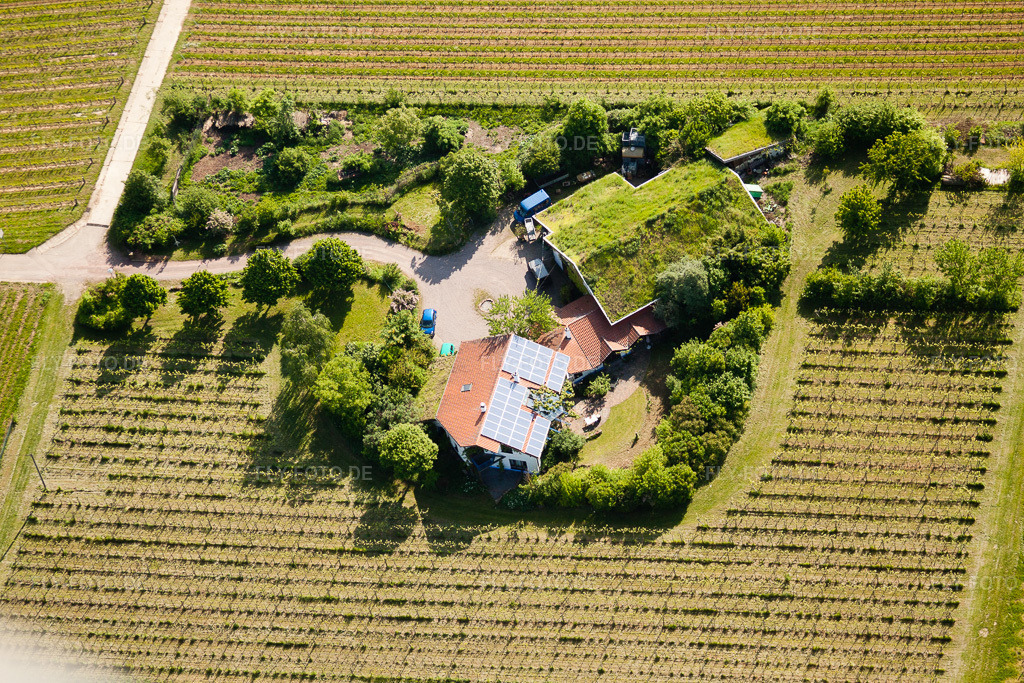 Luftbild: Bioland Weingut Marzolph im Ortsteil Wollmesheim in Landau im Bundesland Rheinland-Pfalz in Deutschland. Foto: IMG_27244.jpg vom 23.05.2010 durch Werner Riehm/FLY-FOTO.de