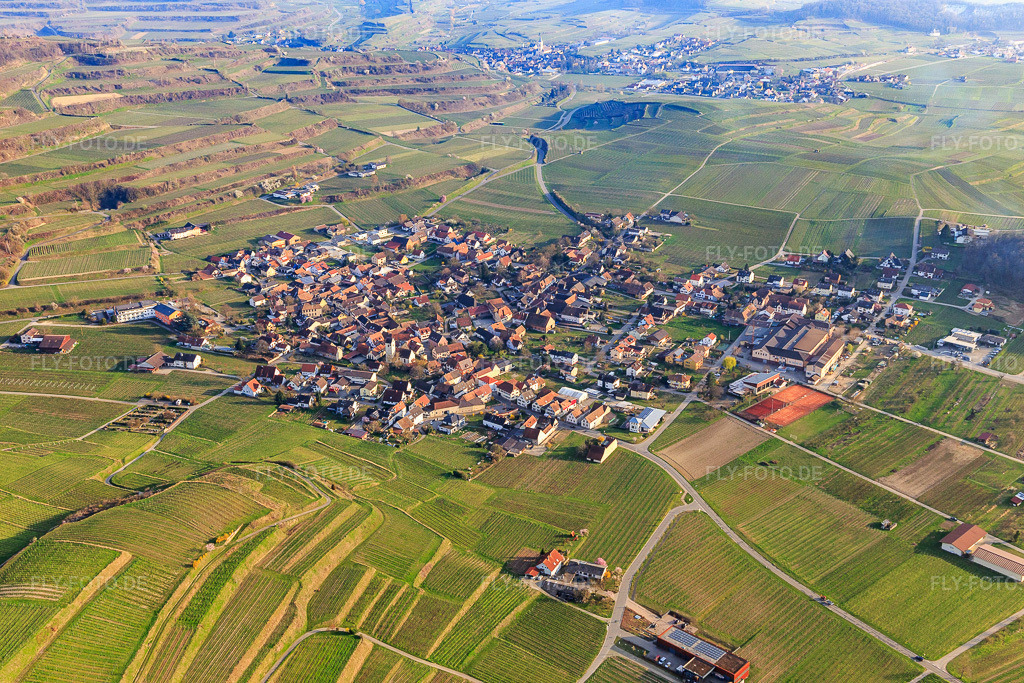 Luftbild: Ortsansicht aus Norden im Ortsteil Bischoffingen in Vogtsburg im Bundesland Baden-Württemberg in Deutschland. Foto: IMG_113147.jpg vom 22.03.2019 durch Werner Riehm/FLY-FOTO.de