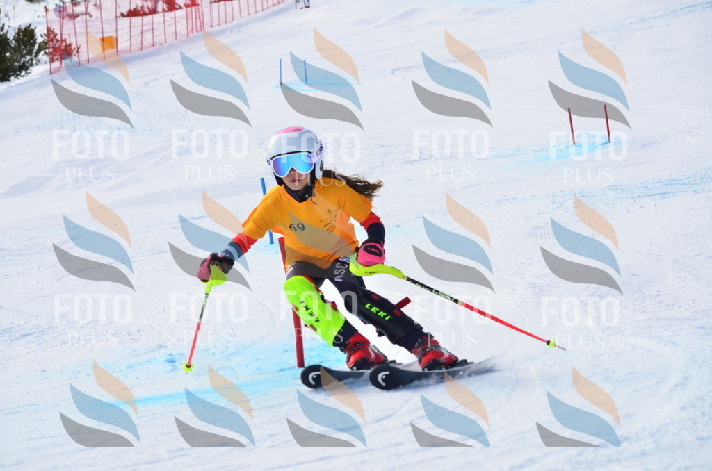 C7890 | holidayphoto