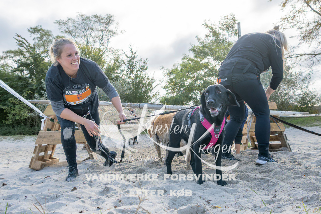 1244_ZZ92947 | kk-dogfotos