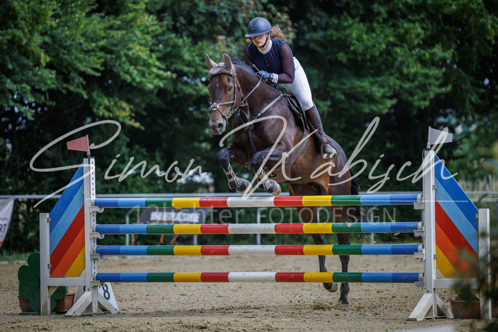 20260705-_3LI6685 | Tierfotografie Pferde, Hunde, Katzen, Haustiere.
Turnierfotografie Reitturniere, Reiten, Springreiten, Dressur in Hanau, dem Main-Kinzig-Kreis und dem Rhein-Main- Gebiet um Frankfurt