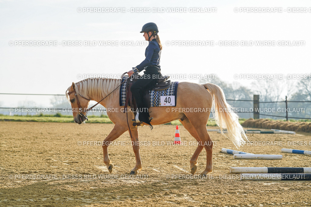 DSC09955 | Pferdegrafie