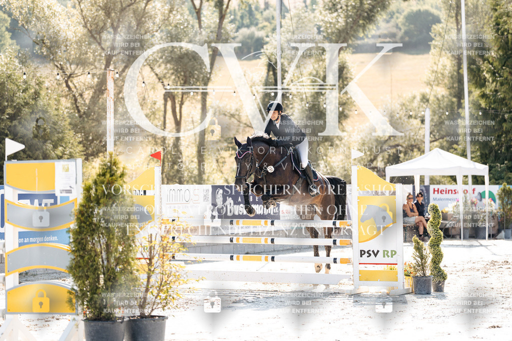 CK907595 | Turnierfotografie Pferdefotografie Trier Rheinland-Pfalz Pferdesport Reitsport Tierfotografie Sportfotografie Pferdevideo Pferdevideografie Equestrianvideography equestrianphotography  - Realisiert mit Pictrs.com
