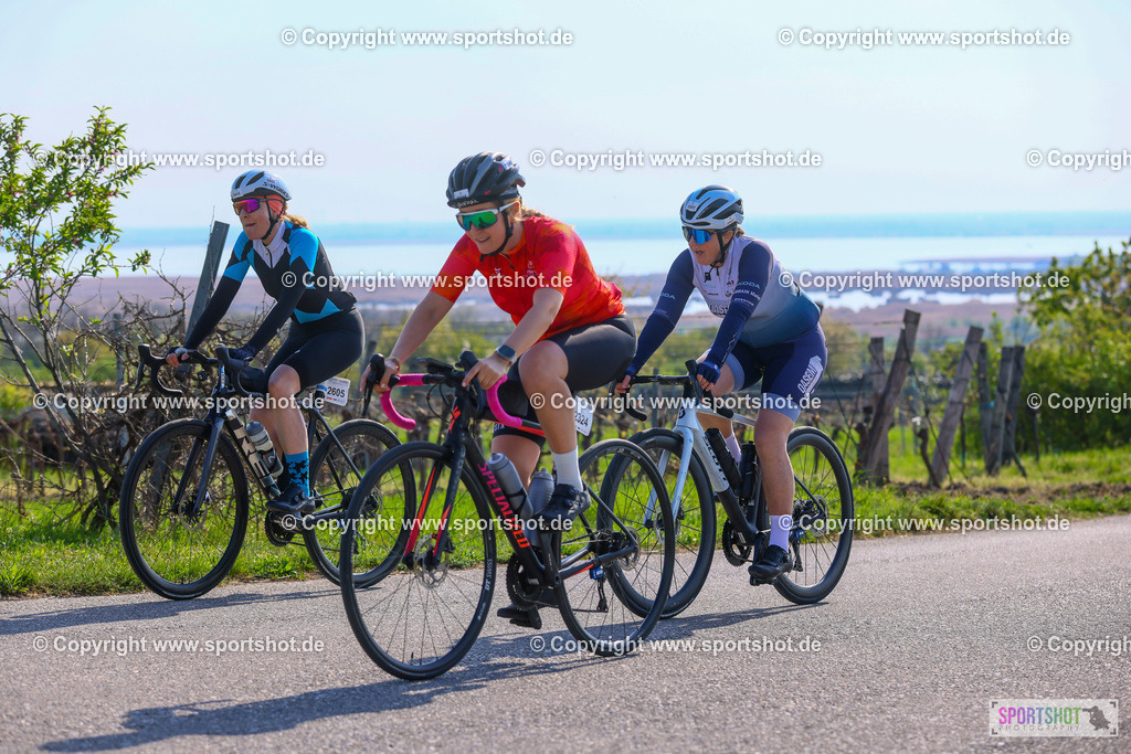 TRA_0377 | Neusiedlersee Radmarathon 2026@sportshot_your_pictrs #yourpictures#roadtowm2029 #nrm #neusiedlerseeradmarathon #neusiedlersee #neusiedlerseetourismus #burgenland #mörbisch #nrm26 #burgenlandtourismus #voglundco #poweredbyburgenlandtourismus #radsport #rad #marathon #ucigranfondo #visitburgenland #ucigranfondoworldseries