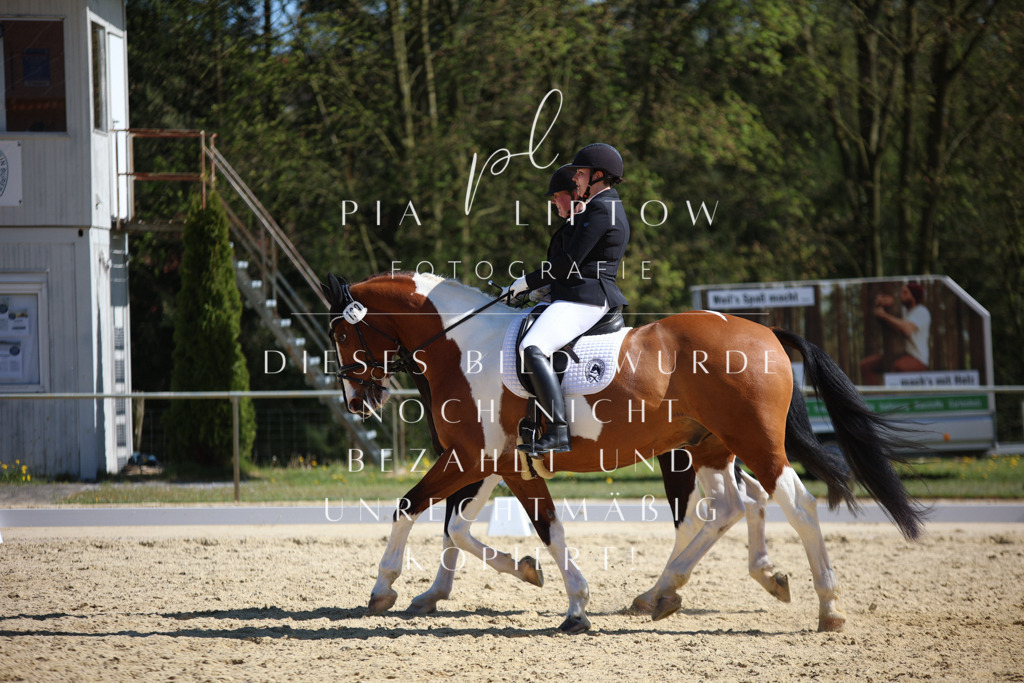 IMGT2219 | pl-fotografie