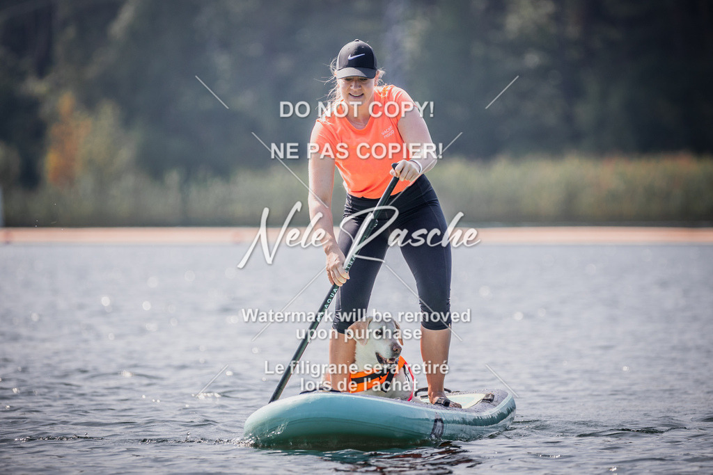 BUHU_SUP_409 | nelerasche