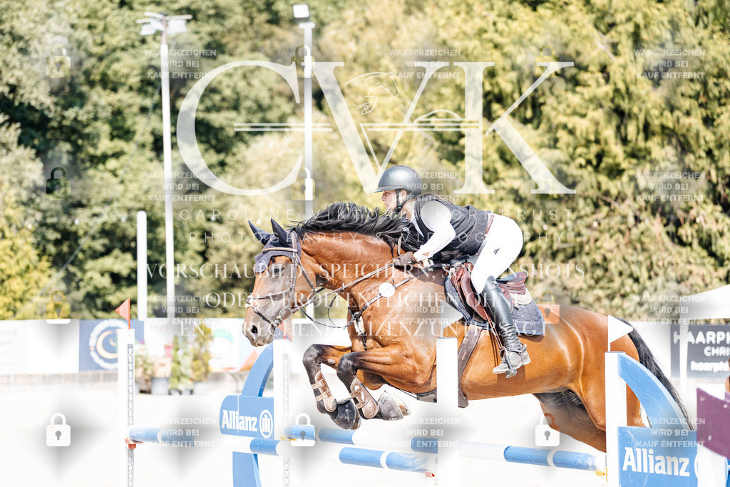 CK901850 | Turnierfotografie Pferdefotografie Trier Rheinland-Pfalz Pferdesport Reitsport Tierfotografie Sportfotografie Pferdevideo Pferdevideografie Equestrianvideography equestrianphotography  - Realisiert mit Pictrs.com